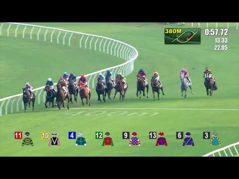 25/9/2022 (45) Tuchel - Z Purton