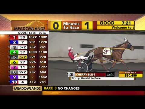 Meadowlands Racing & Entertainment Live Stream