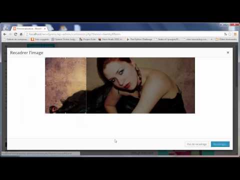 Tutoriel Wordpress 28 Les thèmes Partie 2