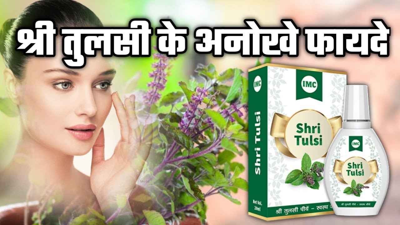 Watch video श्री तुलसी प्रयोग करने के 15 तरीके जिससे मिलेगे ढेरो फायदे || Shri tulsi benefits || IMC business Now श्री तुलसी प्रयोग करने के 15 तरीके जिससे मिलेगे ढेरो फायदे || Shri tulsi benefits || IMC business