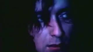 Holger Czukay - Mushroom