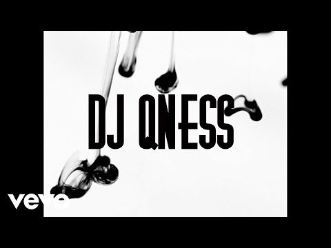DJ Qness - Everything (Official Video)