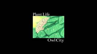 plant life - owl city (slowed + reverb)