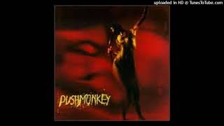 Pushmonkey - Loner