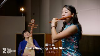 Ammy Lin: Birds Singing in the Shade