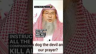 Download lagu Black Dogs Are Devils #islam #quran #dog mp3 Download lagu Black Dogs Are Devils #islam #quran #dog mp3