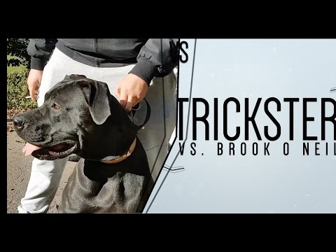 KKB 2016 [4tel-Finale 1/4] - Brook o Neil vs Trickster [ANALYSE]