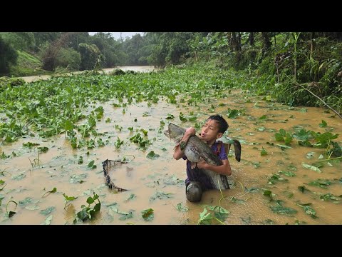 fishing skills, highland boy khai harvests 12kg of catfish for sale, after historic storm