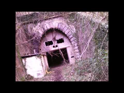 Play Video Youtube Video