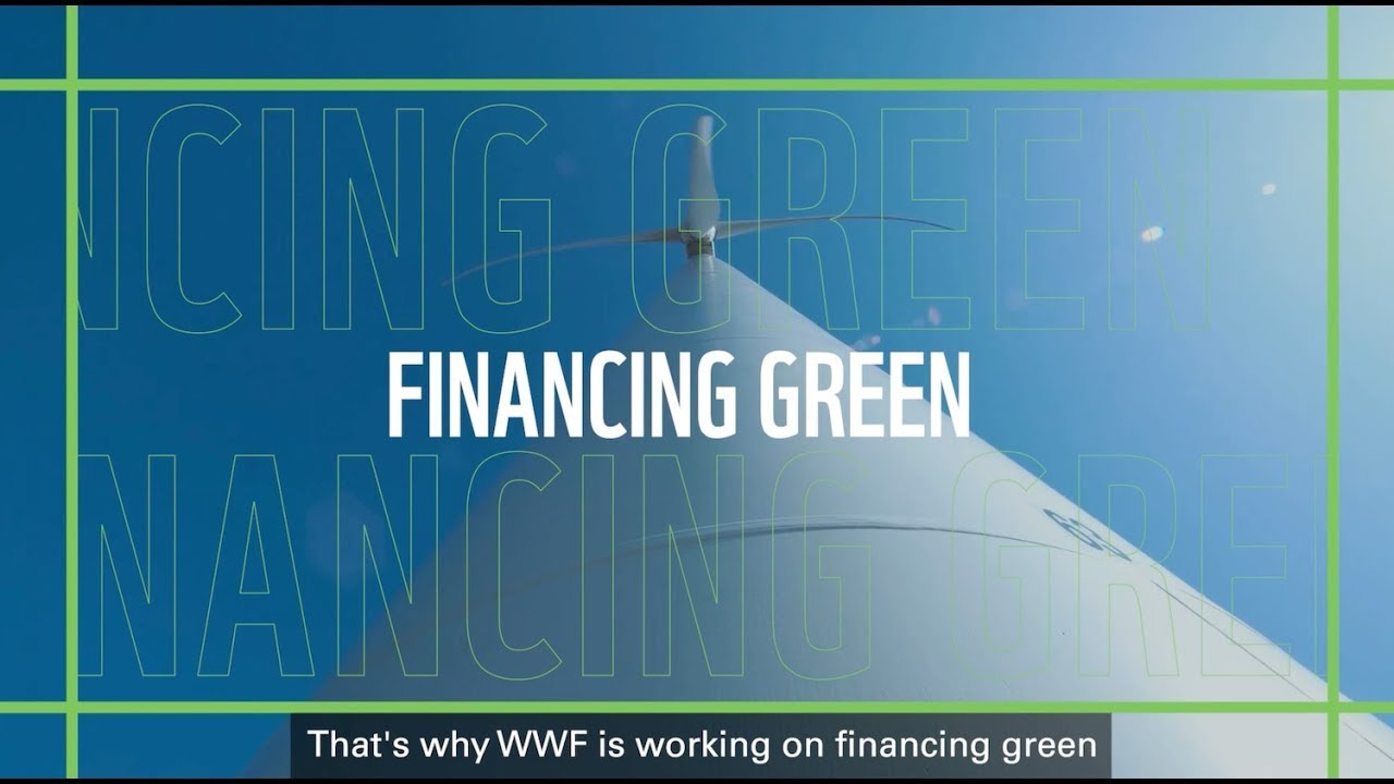 Financing Green - SHORT version