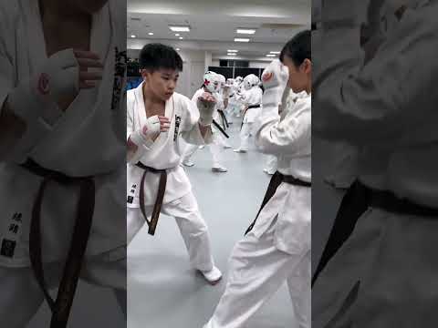 【新極真会】カウンター下段廻し蹴り　福岡支部　　SHINKYOKUSHINKAI KARATE