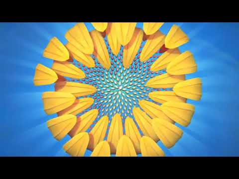 Dios Creador de Todo - Estudio Bíblico