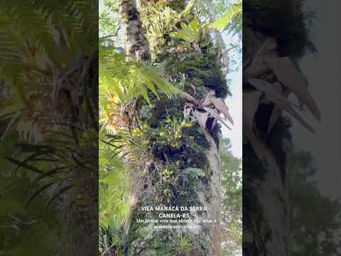 VILA MANACÁ DA SERRA, hospedagem em meio à natureza . Rio Grande do Sul.