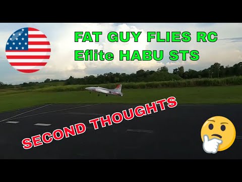 IS THIS PLANE THE BEST FIRST EDF?  EFLITE HABU STS BY FAT GUY FLIES RC