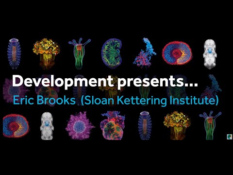 Development presents... Eric Brooks