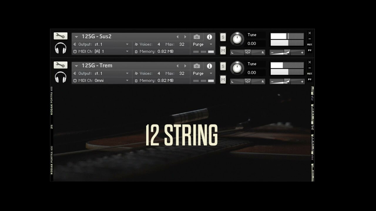 12 String Presets