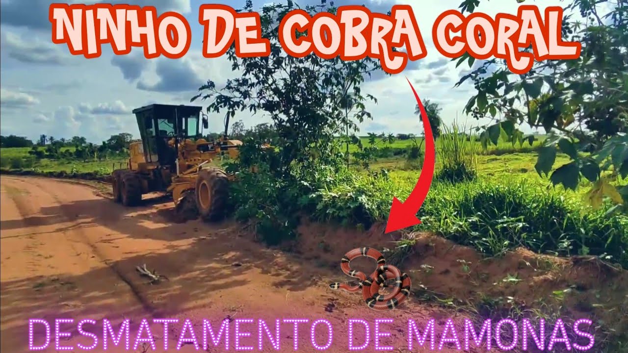PATROL DESTRUINDO MAMONAS COBRA CORAL ESCONDIDA motoniveladora 140k caterpillar