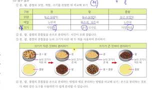 [초등과학 4-1 무료강의] 5. 혼합물의 분리 ③ 콩, 팥, 좁쌀의 혼합물은 어떻게 분리할까요?