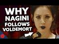 How Voldemort FOUND Nagini Harry Potter Film Theory