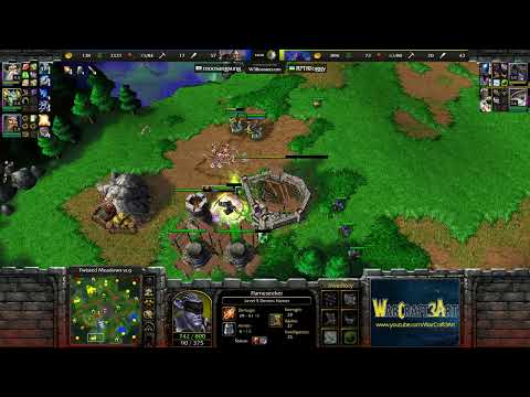 Foggy(NE) vs Sok(HU) - Warcraft 3: Classic - RN7004