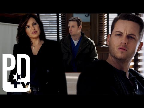 Halstead's Brother Questioned By Detective Olivia Benson | Chicago P.D. | PD TV