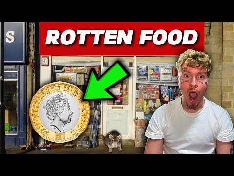 I Only Had £1 To Cook THREE Meals...Is It Possible?