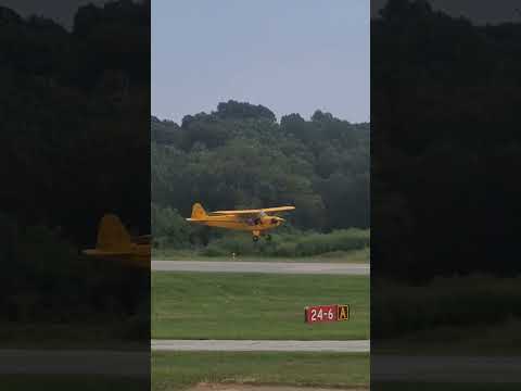 Piper Cub Landing in the Grass J3 #planespotting #aviation #airplane #pipercub
