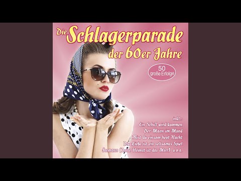 Schwarzer Kater Stanislaus (Alley Cat)