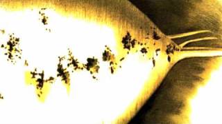 Lambchop - About My Lighter