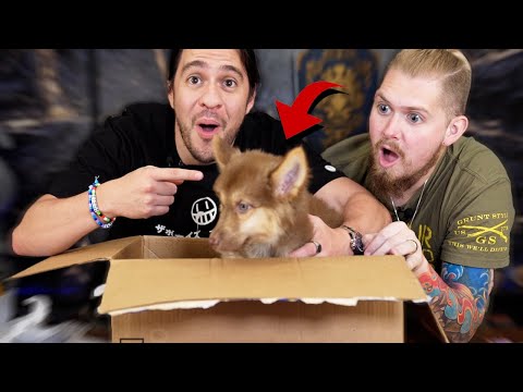 Why Did You Send us This!? - FanMail w/Narrator