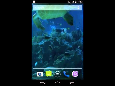 Real Aquarium Video Wallpaper