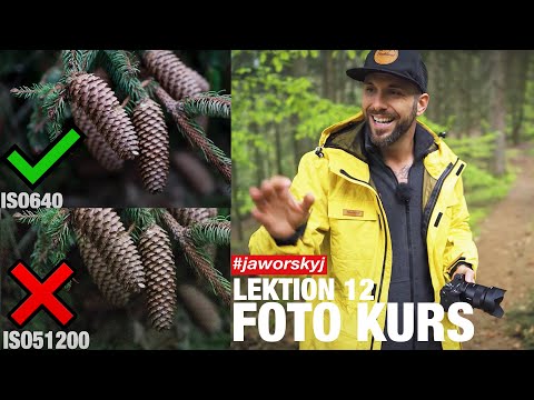 Kamera ISO einfach erklärt  | Jaworskyj Foto Kurs 📷 Lektion 12