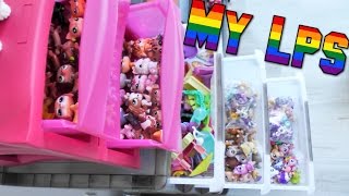 How I Organise My Lps & Accessories || DIY (Kinda)