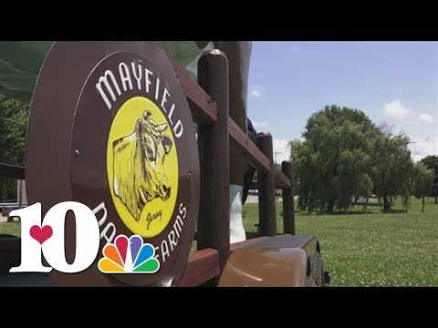 The history of ice cream at Mayfield Dairy