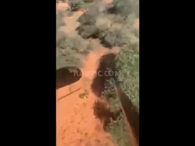 Браконьеры. Охота с вертолета не удалась