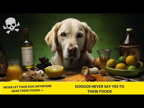 The Ultimate List Of Toxic Dog Foods - Never Let Your Dog Near Any Of THEM !!!