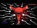 Fertilization 3D Animation