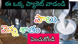 How to increase fat and Snf in milk!! పాలలో వెన్న శాతం