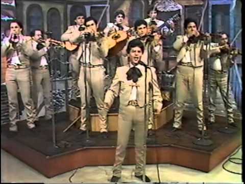 Mariachi Los Galleros de Pedro Rey - Popurri De Mi Tierra