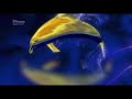 Picturemaker Productions Grammnet Productions CBS Paramount Television 2008