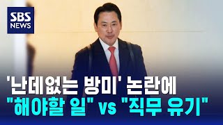 '난데없는 방미' 논란에..해야할 일 vs 직무 유기 / SBS