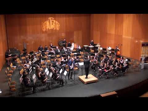 Concierto del Simun - F. Ferrán - V Curso "Ciudad de Manzanares" 2018
