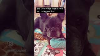Lady renamed Lola is Truly living the Dream!! Lady renamed Lola is Truly living the Dream!!