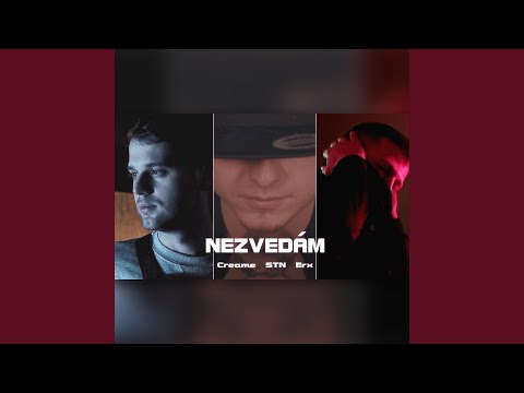 Nezvedám (feat. STN & ErX)