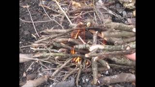 How to Make Wet Wood Burn