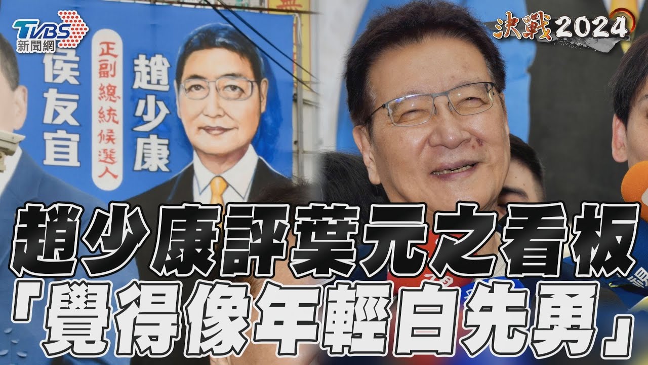 致敬葉元之競選看板 桃園副市長「手繪趙少康」:真的超難畫