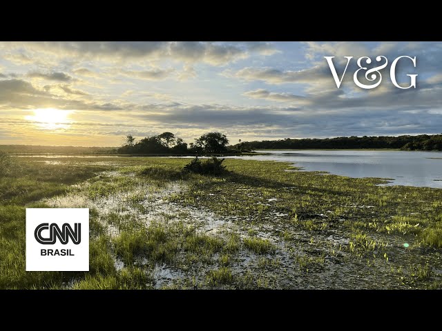 Pantanal, tesouro exclusivamente brasileiro |  CNN Viagem & Gastronomia