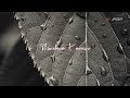 Panithuli Panithuli Tamil Song Whatsapp Status Kanda Naal Mudhal