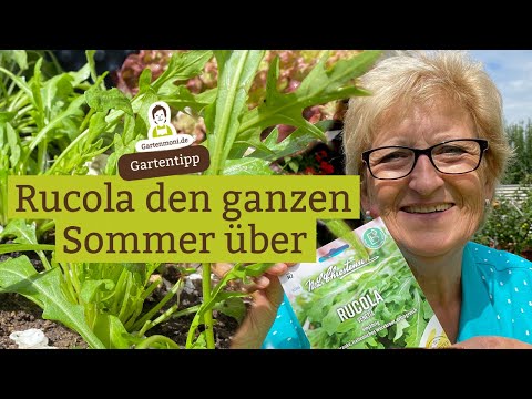 Sow and harvest arugula all summer long