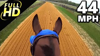 Jockey Cam Horse FAST Galloping 44mph. GoPro